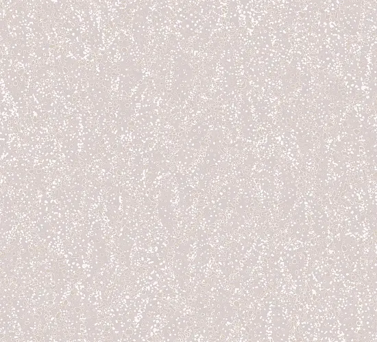 Loymina PM7 — Colourway 23319