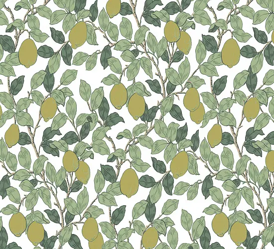 Loymina Citron QTR3 — Colourway 29083